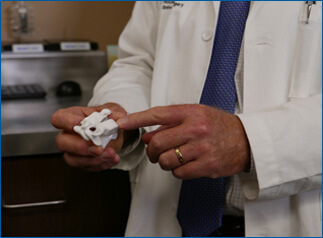 Close up of doctor showing a detailed plastic model of a vertebrae